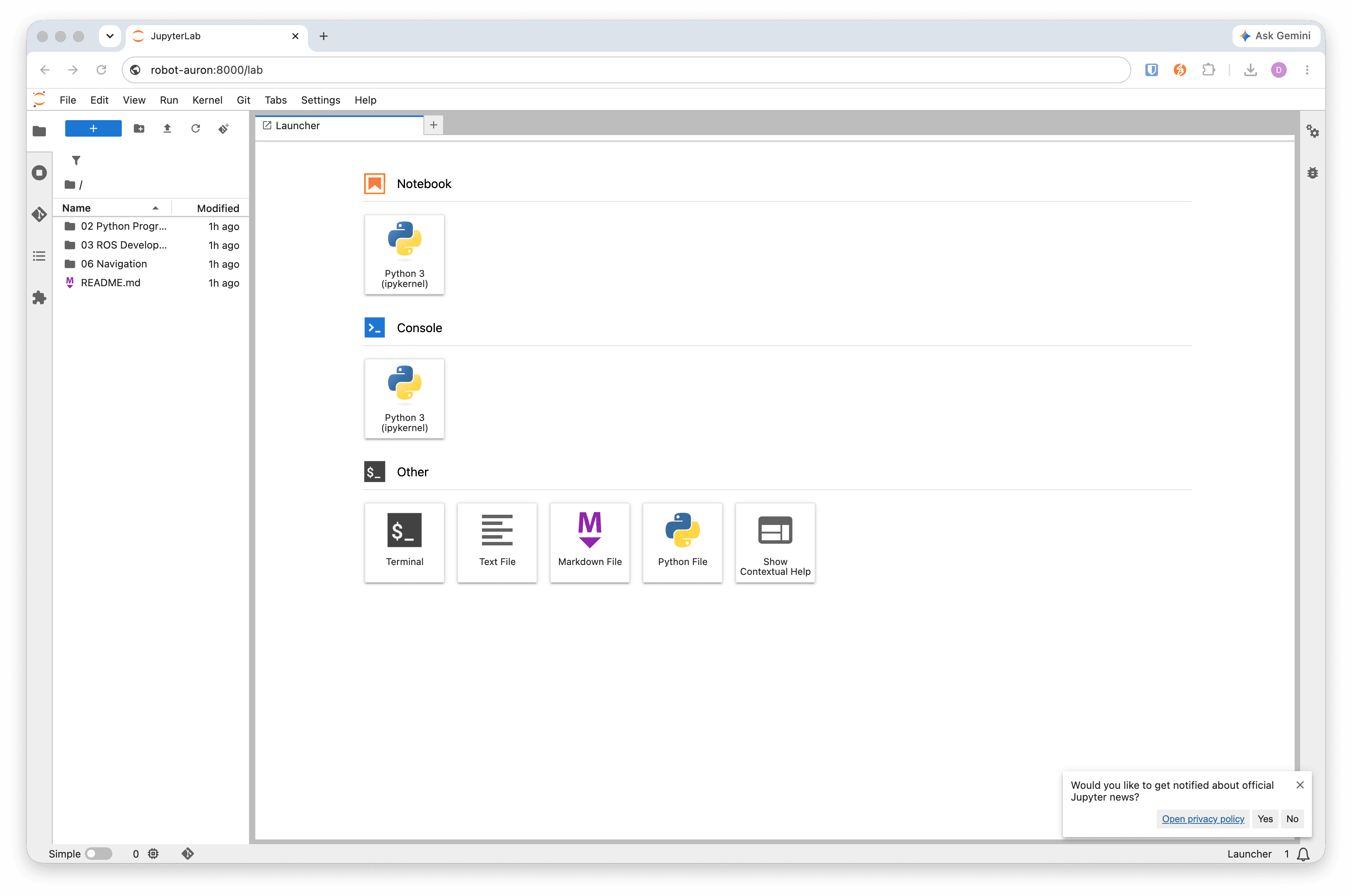 JupyterLab launcher page at robot-auron:8000/lab with notebook and file options.